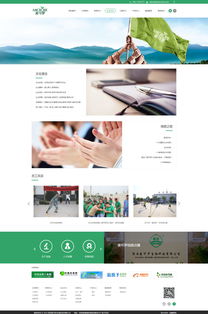 西安麦可罗生物科技携手硅峰网络 外贸销售与企业信息化的卓越案例展示